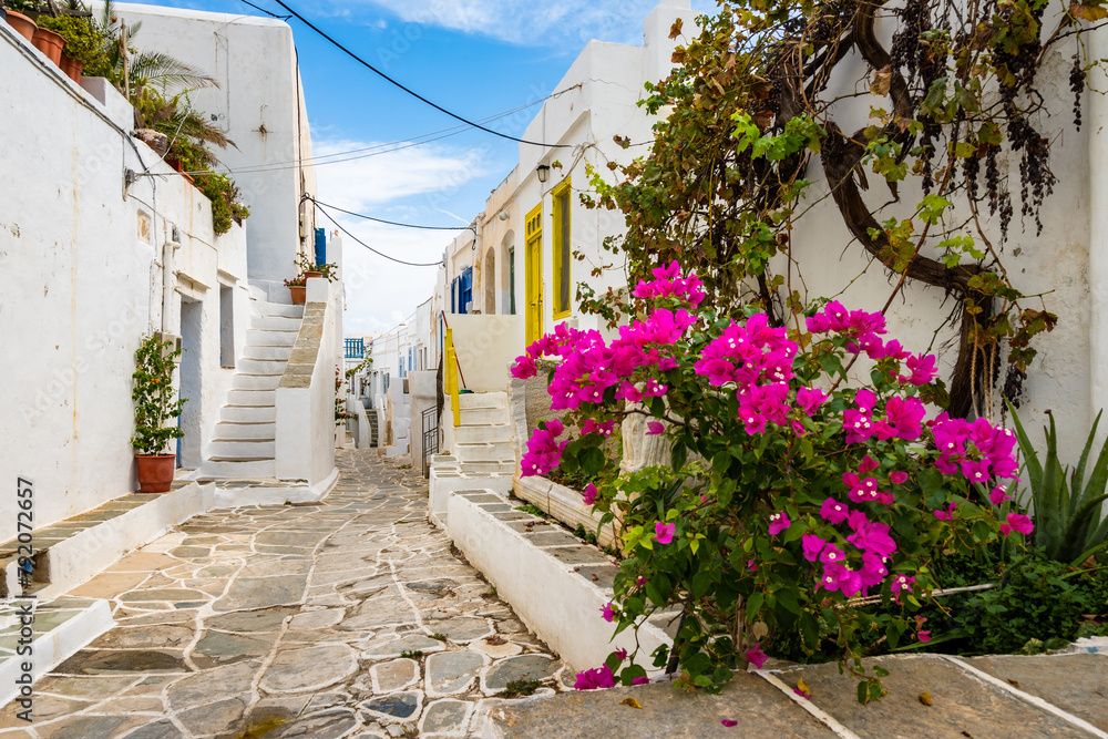 White houses in narrow alley of traditional Kastro village with bougainvillea flowers in foreground, Sifnos island, Greece