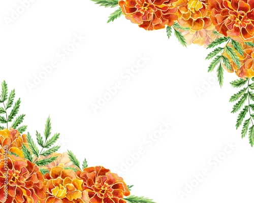 Marigolds, frame for text. Hand drawn watercolor illustration of flowers on white background. For birthday cards, invitations, banners, labels, covers