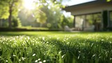 The image captures the serene essence of a dew-soaked lawn in the morning Sunlight filters through the trees, showcasing the lush green of the grass and creating a tranquil atmosphere