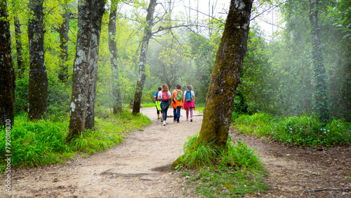 A group of girls are walking through the forest in sports clothes.