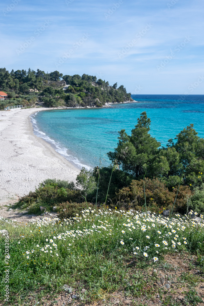 Fototapeta premium Sithonia coastline near Koviou Beach, Chalkidiki, Greece