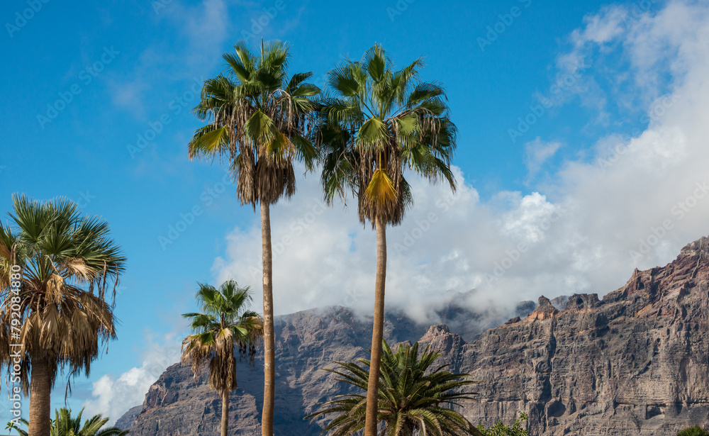 Plataneras y acantilado de Los Gigantes Tenerife, Canarias