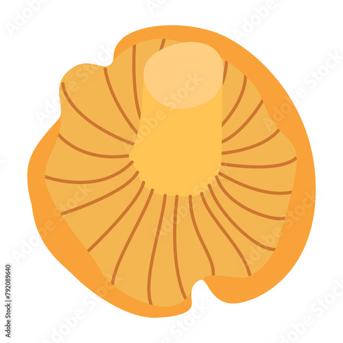Chanterelle illustration. Edible chanterelle mushrooms. Yellow mushroom. Hand drawn trendy flat style. Doodle autumn forest harvest. Vector illustration