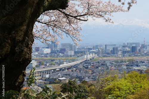 満開の桜春霞の北アルプス立山連峰と走る北陸新幹線の列車