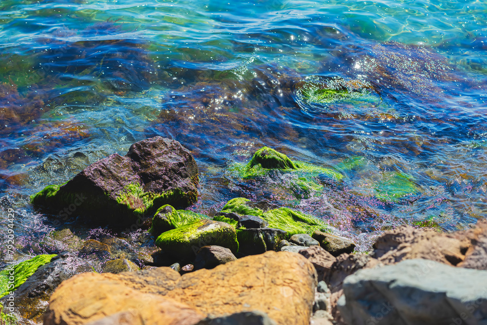 Rocky shoreline with green moss growing in water on the rocks. Scenic calm and clear water, reflection of sky