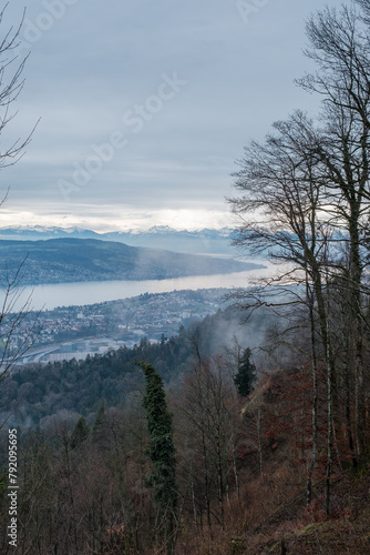 View from Utliberg, Zurich, Switzerland, Europe photo