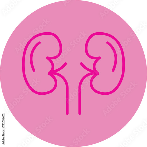Kidneys Pink Line Circle Icon