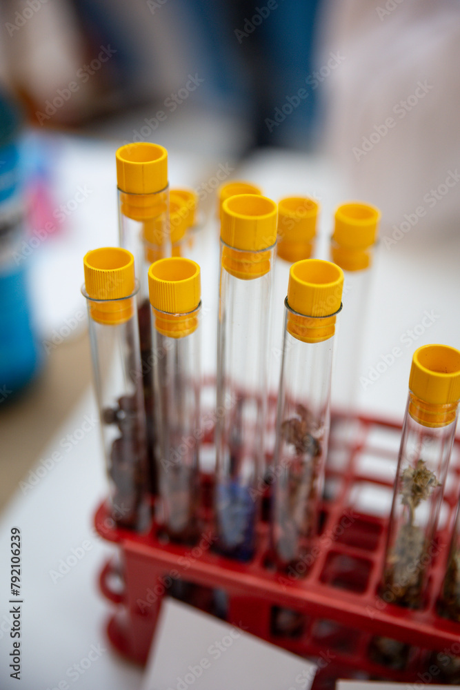 Test tubes with plants toxic biological activity Test tubes with plants toxic biological activity