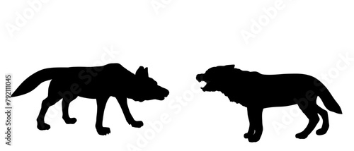 Alpha wolf fight against opponent vector silhouette illustration isolated on white background. Beast battle for mating with female. Shape male wolf VS dog fight, shepherd shadow protect sheep.