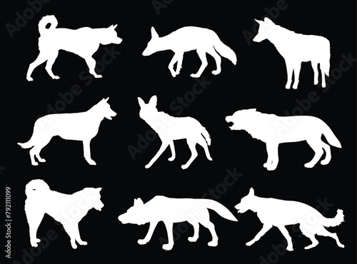 Wolf, coyote,jackal and dog collection vector silhouette illustration isolated. Maned wolf. Husky and Akita Inu. Wolf shape shadow. Dog breeds. Coyote and jackal beast symbol. Wild and pet animal.
