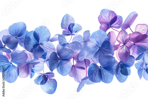 A bouquet of blue, purple, and lilac flowers on a isolated transparent background