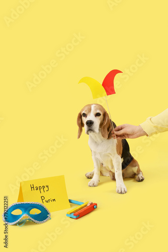 Woman with paper hat and cute Beagle dog on yellow background. Purim celebration