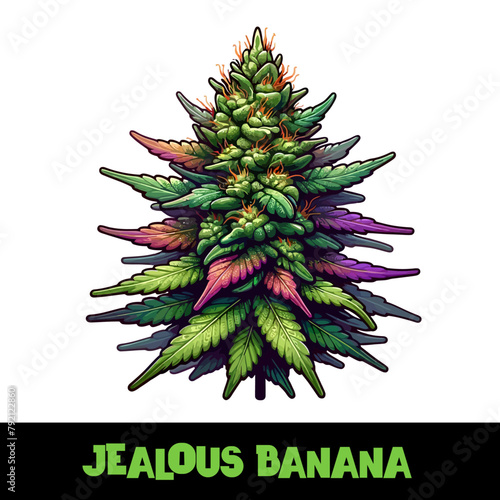 Vector Illustrated Jealous Banana Cannabis Bud Strain Cartoon
 (ID: 792122860)