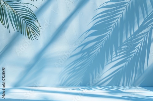 Palm Tree Casting Shadow on Wall