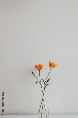 Three Orange Flowers in Clear Vase © olegganko