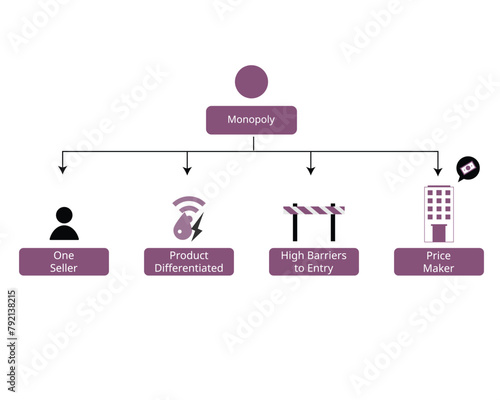 element of Market structures of  Monopoly