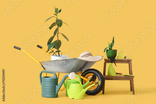 Plants, gardening supplies and wheelbarrow on yellow background photo