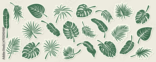 Vector Tropical Leaf Silhouette Icon Set. Flat Vector Monstera, Ficus, Banana Leaf, Dracaena, Sabal Palm Leaves, Isolated Stickers. Design Templates for Home Decor, Invitations, Print
