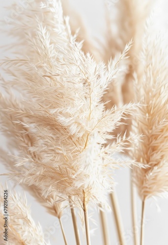 Vase Filled With White Flowers
