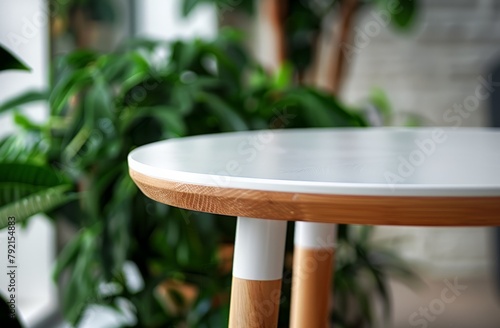 Table With Plant in Background