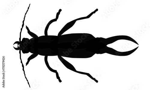 silhouette insect