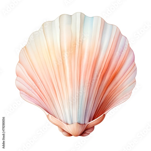 Colorful seashell isolated on white background. Watercolor illustration.