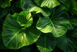 Abstract background of big green leaves - generative ai