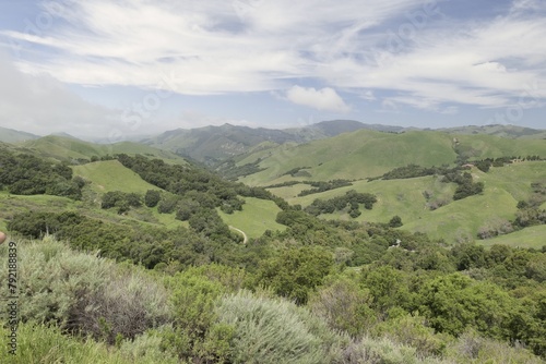 Scenic green spring hills of California