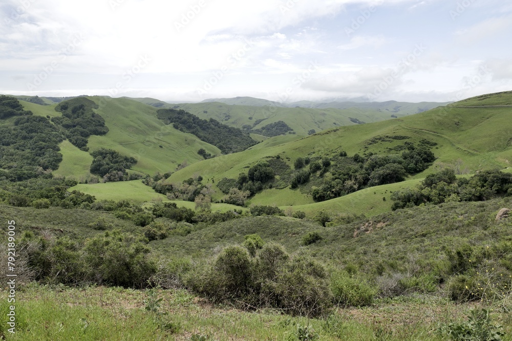 Scenic green spring hills of California Scenic green spring hills of California