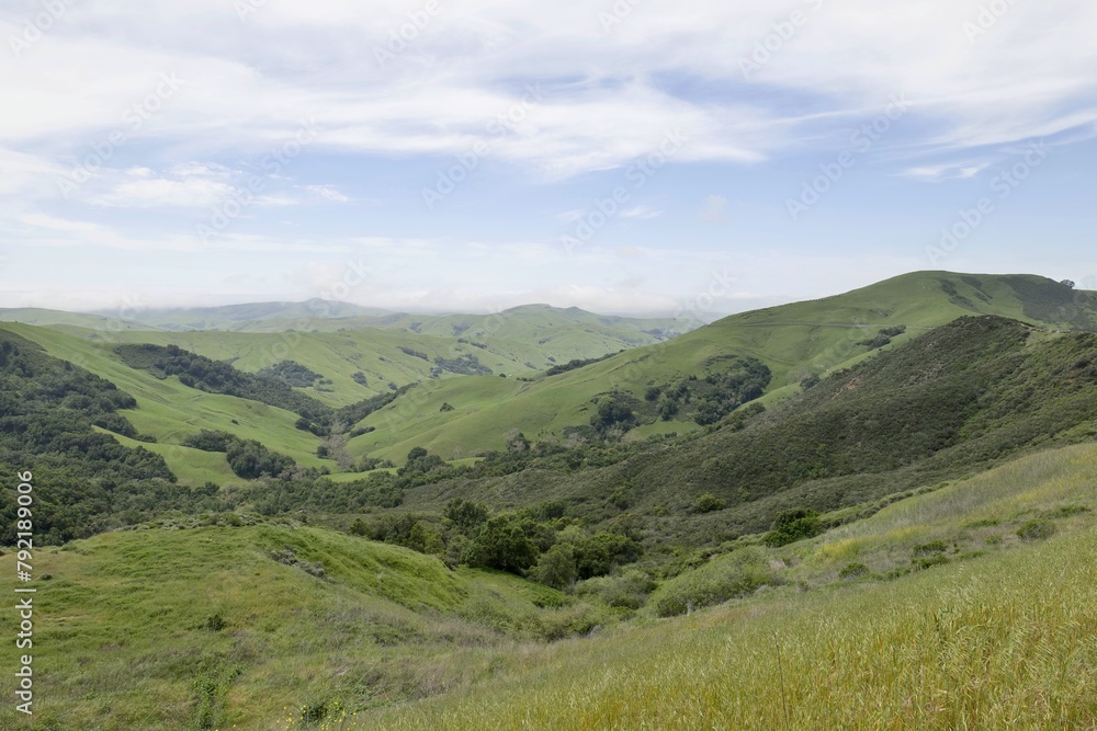 Obraz premium Scenic green spring hills of California