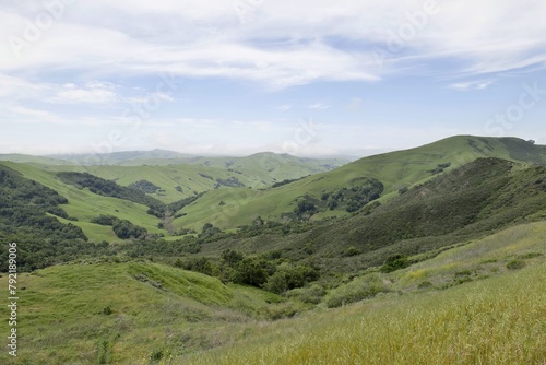 Scenic green spring hills of California