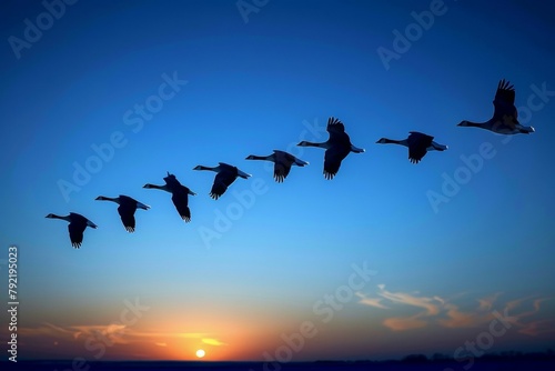 Wallpaper Mural Migratory birds in the sky. Backdrop with selective focus and copy space Torontodigital.ca