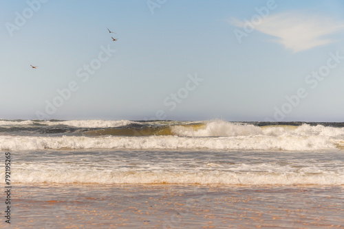 Seagulls flying over ocean waves crashing onto a sandy beach.