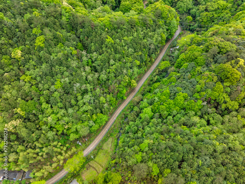 Panoramic view of winding mountain road