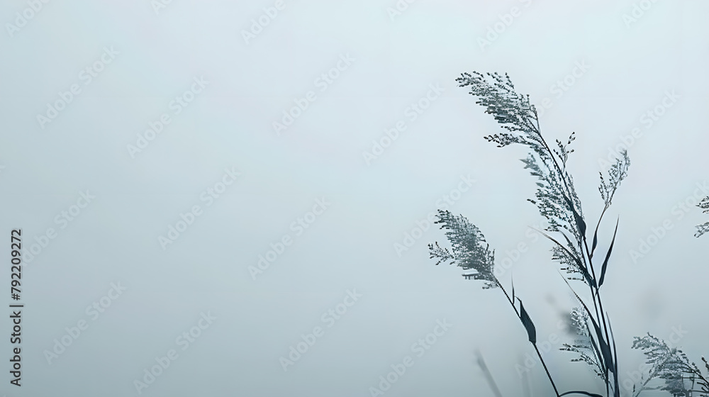 Fototapeta premium Minimalist photography background