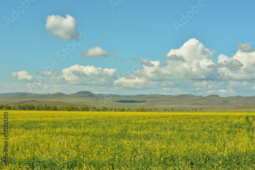 A huge field of yellow-flowering rapeseed at the foot of a range of high hills under a cloudy summer sky.