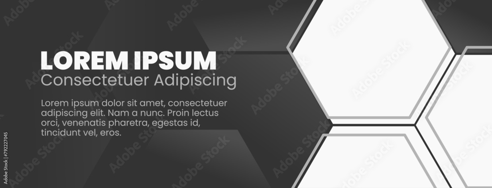 Fototapeta premium black and white hexagon geometric banner