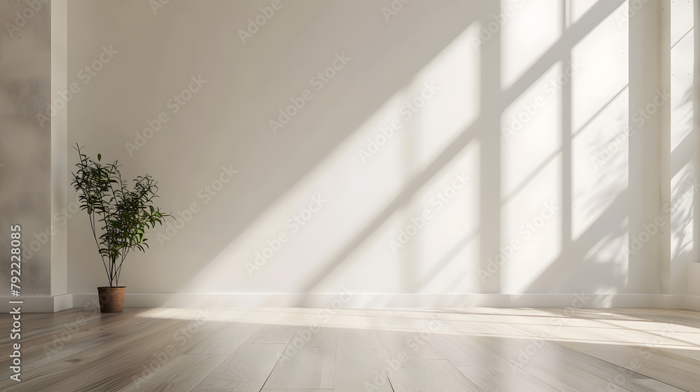 Fototapeta premium Minimalist photography background