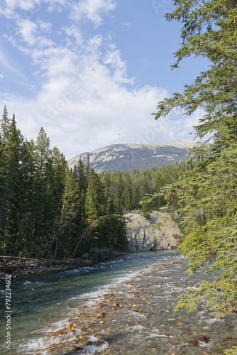 Maligne River from the Fifth Bridge