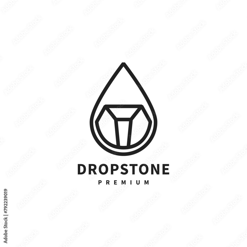 Fototapeta premium vintage drop stone line art logo design