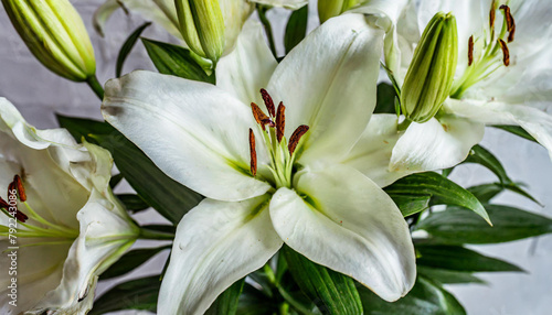 Beautiful white lilies on light background  symbol of gentleness  purity and virtue. closeup