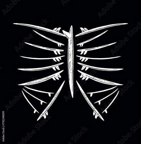 Handmade vector illustration of surfboards forming a rib cage.