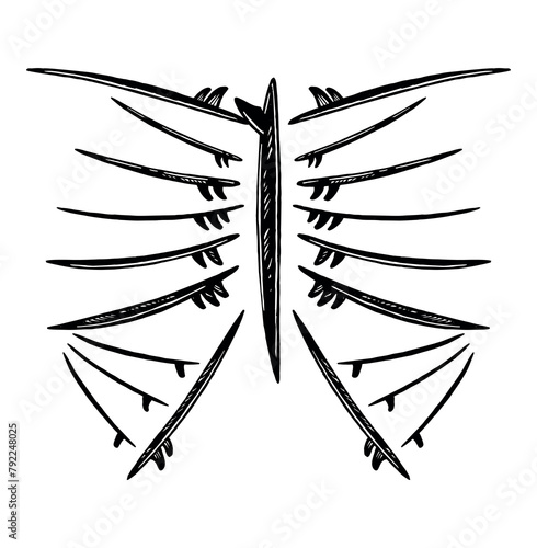 Canvas Print Vector illustration of surfboards forming a rib cage.