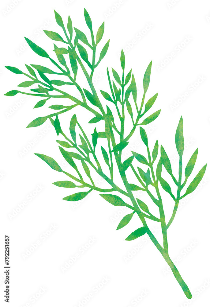 Naklejka premium 笹 七夕素材 飾り