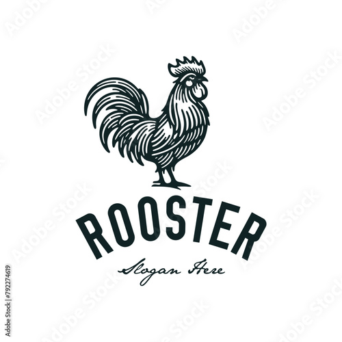 vintage logo rooster hand drawn vector illustration