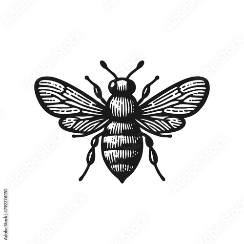 vintage hand drawn honey bee vector illustration