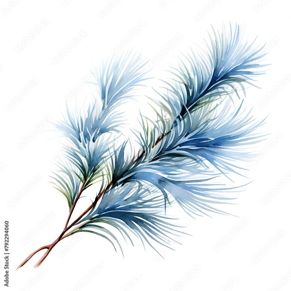 Fototapeta premium Watercolor blue branch of a Christmas tree on a white background.