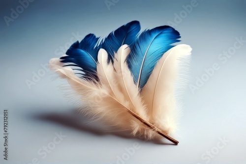 'blue fluffy isolated white feather tropical wildlife delicate jungle tropics pastel fashion concept dream elegant smooth effortless natural cygnet quill imagination waft animal background abstract'