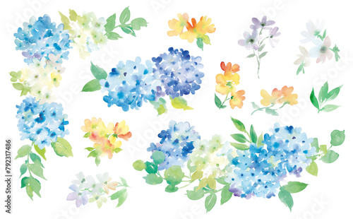 Hydrangea vector illustration set painted in watercolor	
