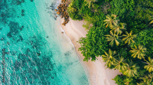 Aerial view of clear turquoise water near a sandy beach with coconut trees on an island on a sunny day
